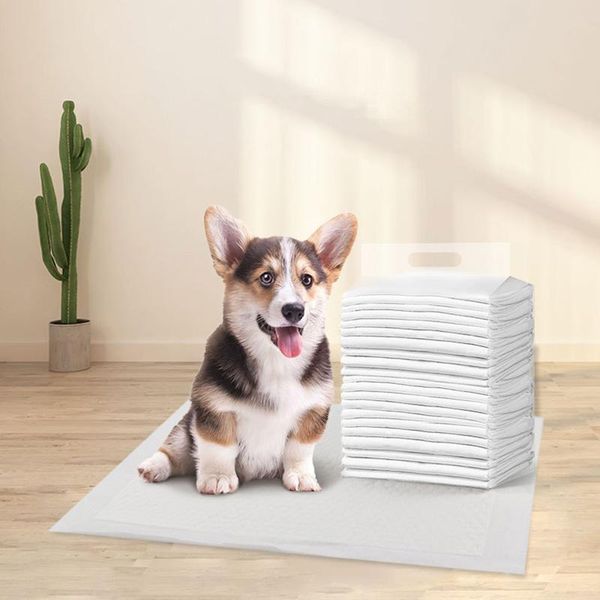 dog apparel 5 layer training pad disposable pet diaper deodorizing quick drying super absorbent solid leak proof car indoor outdoor home
dog apparel 5 layer training pad disposable pet diaper deodorizing quick drying super absorbent solid leak proof car indoor outdoor home