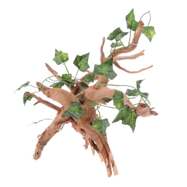 decorations rhododendron wood root with small jungle vines diy decor for reptiles and amphibians habitat décor
decorations rhododendron wood root with small jungle vines diy decor for reptiles and amphibians habitat décor