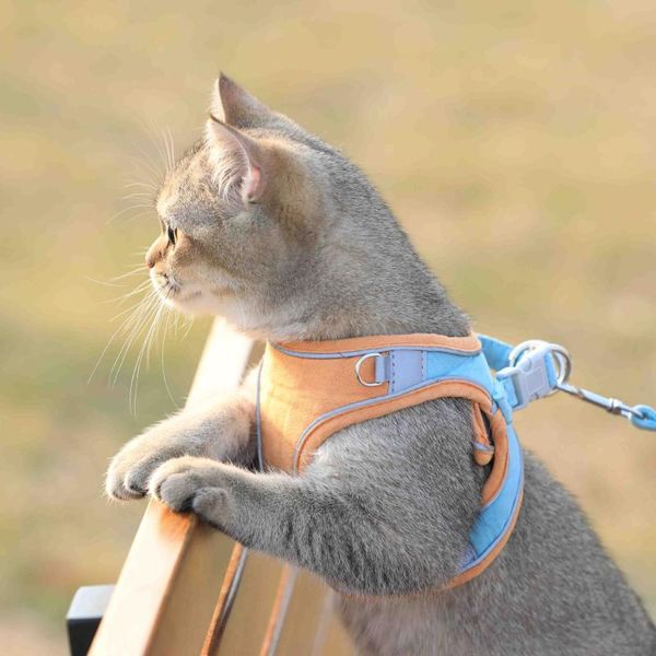 cat collars & leads traction rope household vest chest strap cute anti-break walking dog chain pet
cat collars & leads traction rope household vest chest strap cute anti-break walking dog chain pet