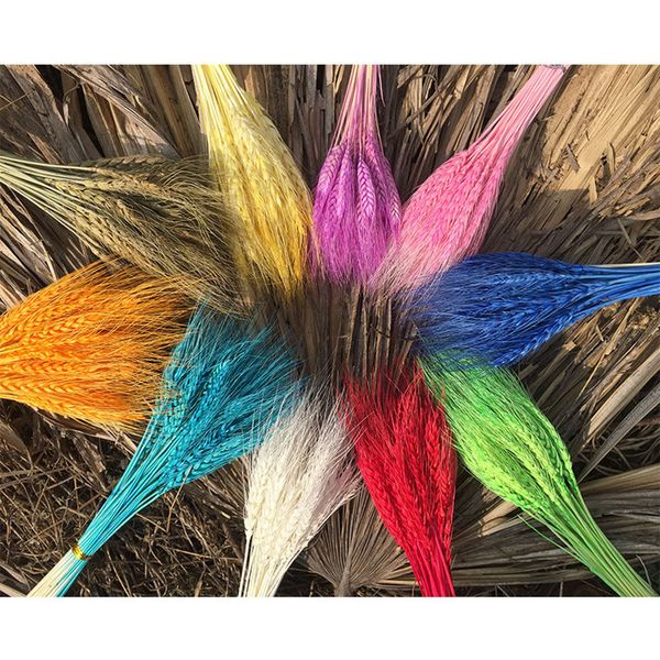 10pcs real wheat ear flower decoration natural driedchristmas decor bouquetfamily dining tablewedding party diy craft
10pcs real wheat ear flower decoration natural driedchristmas decor bouquetfamily dining tablewedding party diy craft