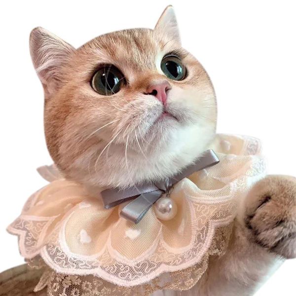cat bandana collar lovely bowknot decorative pet small dog cute nylon adjustable for puppy kittens necklace collars & leads
cat bandana collar lovely bowknot decorative pet small dog cute nylon adjustable for puppy kittens necklace collars & leads