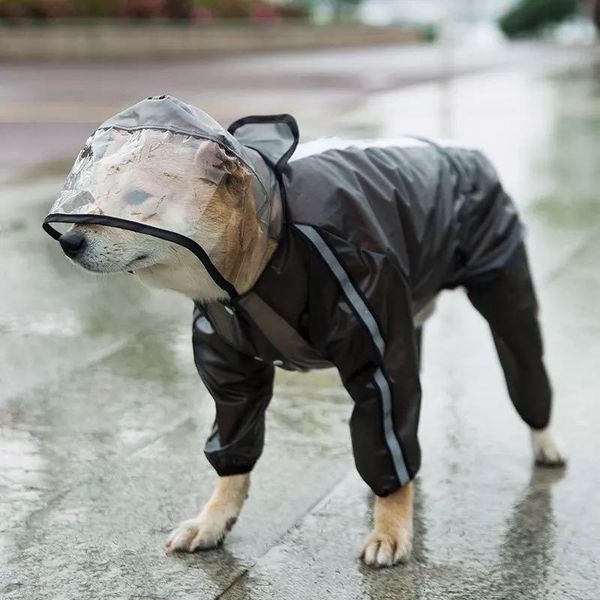 dog apparel pet cat clothes small medium large dogs raincoat hooded rain coat puppy teddy french bulldogwaterproof jacket ropa chihuahua
dog apparel pet cat clothes small medium large dogs raincoat hooded rain coat puppy teddy french bulldogwaterproof jacket ropa chihuahua