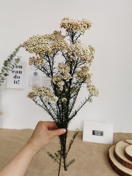 3pcs natural dried immortal millet flower artificial flowers ramillete flores eternell bouquet for home decor decorative & wreaths
3pcs natural dried immortal millet flower artificial flowers ramillete flores eternell bouquet for home decor decorative & wreaths