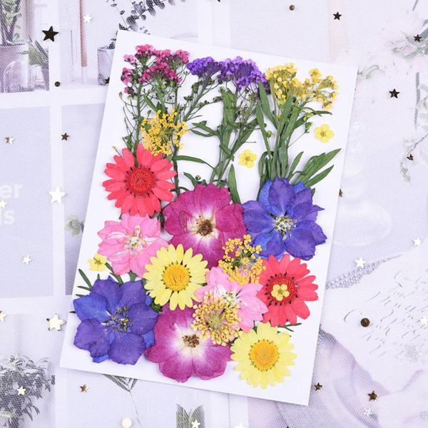 dried pressed flowers small organic natural real preserved flower scrapbooking card making decorative & wreaths
dried pressed flowers small organic natural real preserved flower scrapbooking card making decorative & wreaths
