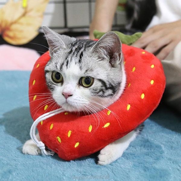 cat collars & leads neck cone adjustable protective soft cute fruit shape cotton for cats collar pet my28 21 dropship
cat collars & leads neck cone adjustable protective soft cute fruit shape cotton for cats collar pet my28 21 dropship