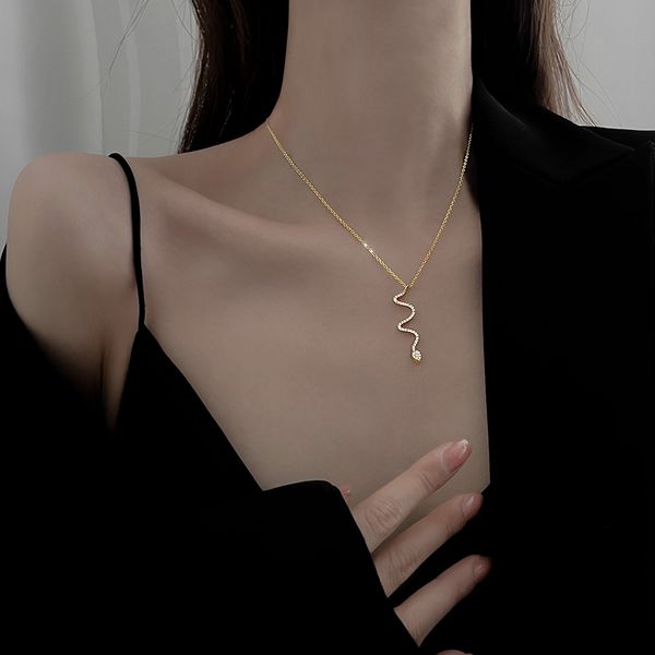 snake necklace female niche design feels the new female collarbone chain personality necklace, Silver
snake necklace female niche design feels the new female collarbone chain personality necklace, Silver