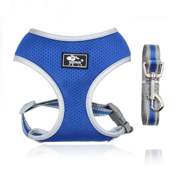 dog collars & leashes pet harness small/big chain teddy vest puppies chest strap breathable mesh leash set outdoor walking leads
dog collars & leashes pet harness small/big chain teddy vest puppies chest strap breathable mesh leash set outdoor walking leads