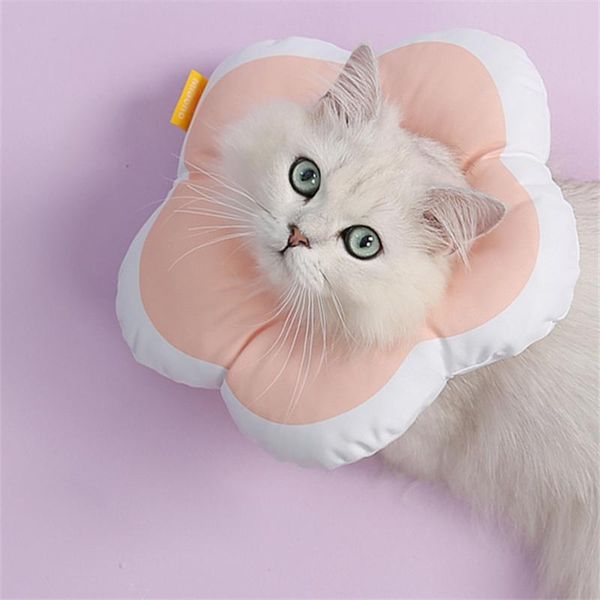 dog collars & leashes cute soft cotton pet elizabethan collar flower shaped cat adjustable wound healing e-collar prevent bite neck ring for
dog collars & leashes cute soft cotton pet elizabethan collar flower shaped cat adjustable wound healing e-collar prevent bite neck ring for