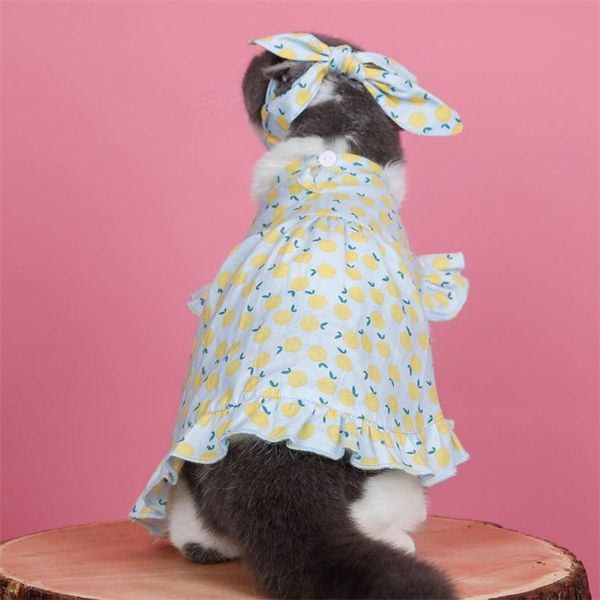 pet clothes summer thin cat anti-lint british shorthair jiafei maltese small dog sleeveless fruit cute dress costumes
pet clothes summer thin cat anti-lint british shorthair jiafei maltese small dog sleeveless fruit cute dress costumes