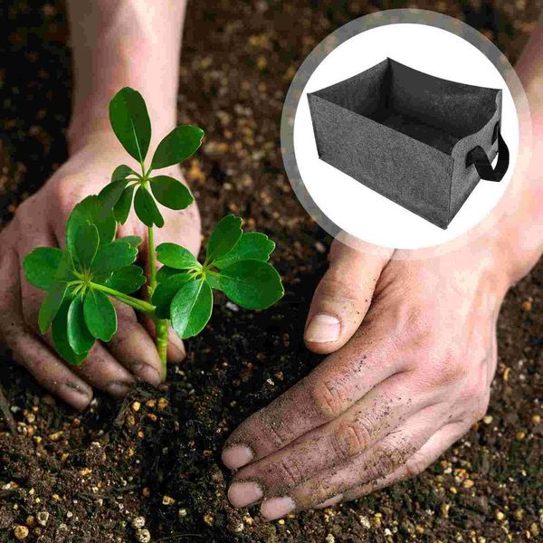 planters & pots 3pcs rectangular non-woven pouch vegetable planting container with handle
planters & pots 3pcs rectangular non-woven pouch vegetable planting container with handle