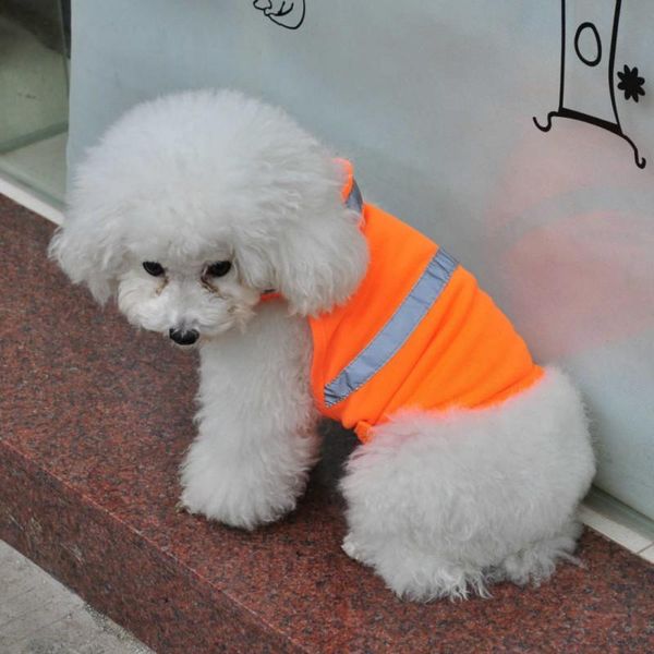dog apparel pet supplies fluorescence safe comfortable & breathable vest for small medium and large dogs green
dog apparel pet supplies fluorescence safe comfortable & breathable vest for small medium and large dogs green