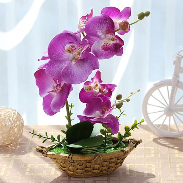 decorative flowers & wreaths artificial flower double-forked phalaenopsis bonsai (with pot) simulation home office party creative decoration
decorative flowers & wreaths artificial flower double-forked phalaenopsis bonsai (with pot) simulation home office party creative decoration