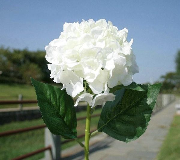 elegant white artificial craft hydrangea bouquet for home party wedding decoration 6 color available 2021 arrival decorative flowers & wreat
elegant white artificial craft hydrangea bouquet for home party wedding decoration 6 color available 2021 arrival decorative flowers & wreat