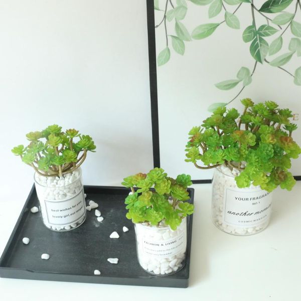 1pcs artificial plants green fake succulent plant fairy tree home decoration wedding party decorative polyester accessories flowers & wreath
1pcs artificial plants green fake succulent plant fairy tree home decoration wedding party decorative polyester accessories flowers & wreath