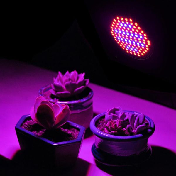 leds grow light e27 ac85-265v full spectrum indoor plant lamp for plants vegs hydroponic system lights
leds grow light e27 ac85-265v full spectrum indoor plant lamp for plants vegs hydroponic system lights