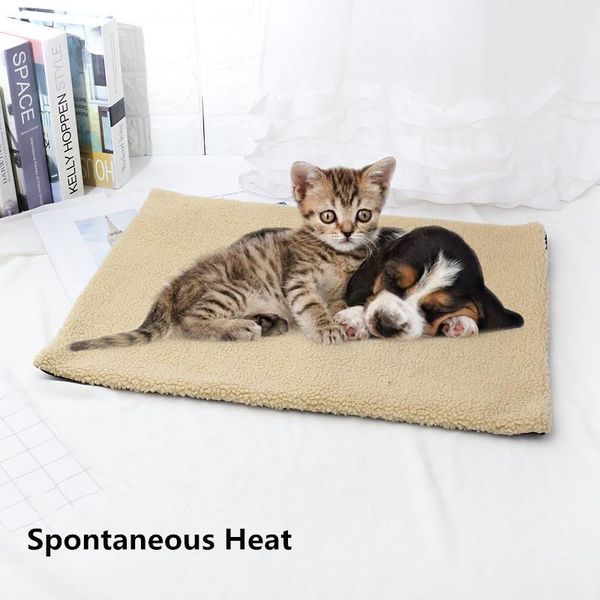 lambs wool soft dog bed mat pet puppy spontaneous heat warm cat beds house for small large dogs cats non-slip bottom product kennels & pens
lambs wool soft dog bed mat pet puppy spontaneous heat warm cat beds house for small large dogs cats non-slip bottom product kennels & pens