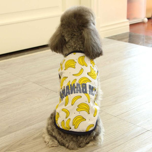 the dog clothes dog spring and summer thin mesh breathable printing pet cat clothing teddy bear vest
the dog clothes dog spring and summer thin mesh breathable printing pet cat clothing teddy bear vest
