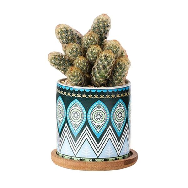 planters & pots ceramic round flower with tray cylindrical succulents flowerpot green nordic simple mandala desk deco
planters & pots ceramic round flower with tray cylindrical succulents flowerpot green nordic simple mandala desk deco