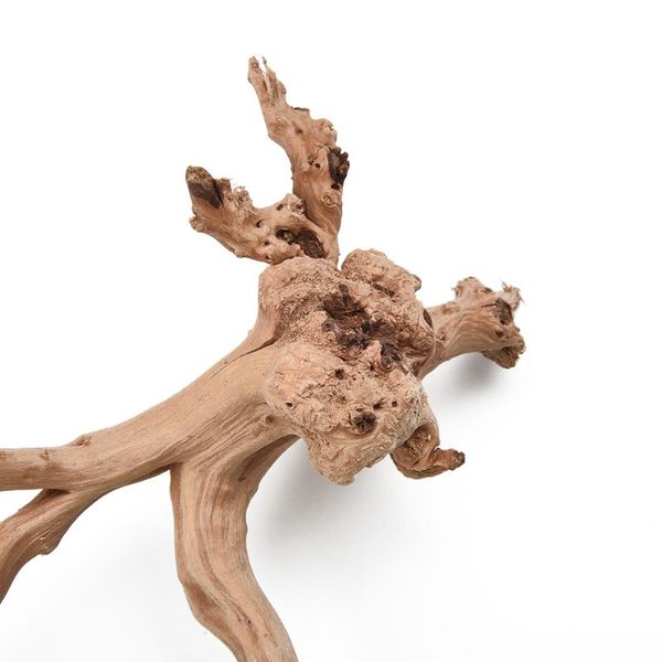 accessories aquarium decoration ornament natural wood tree landscape 1pc for and fish tank decorations
accessories aquarium decoration ornament natural wood tree landscape 1pc for and fish tank decorations