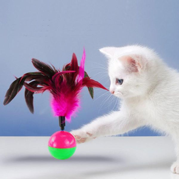 cat toys 1pc funny pet toy tumbler ball turntable feather training playing supplies drop
cat toys 1pc funny pet toy tumbler ball turntable feather training playing supplies drop