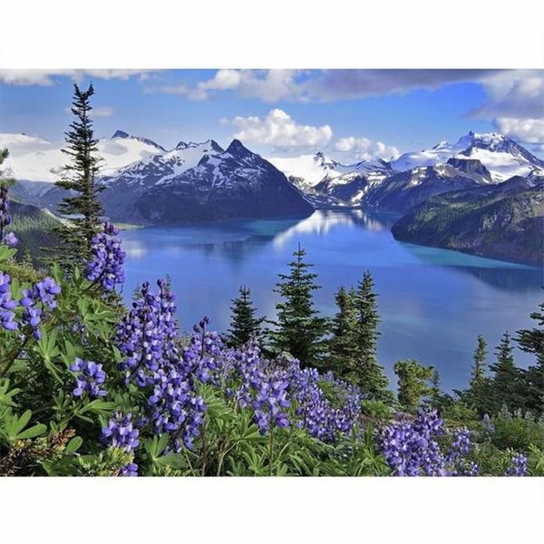 paintings 40x50cm frame diy painting by numbers kits for adults canvas mountain landscape gift drawing on art
paintings 40x50cm frame diy painting by numbers kits for adults canvas mountain landscape gift drawing on art