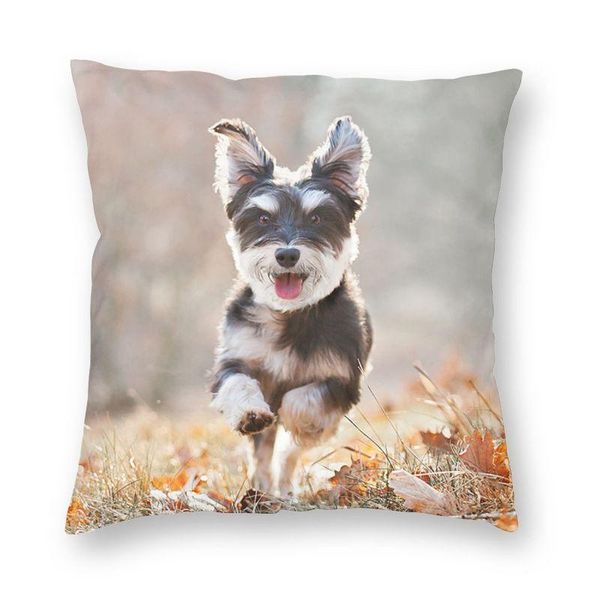 cushion/decorative pillow miniature schnauzer puppy running square cover decoration pet dog cushion throw for living room printing
cushion/decorative pillow miniature schnauzer puppy running square cover decoration pet dog cushion throw for living room printing