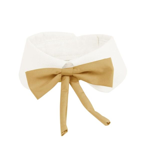 cotton pet bow tie for party comfortable necktie bows kitten small dog grooming accessories puppy cat necklace costumes
cotton pet bow tie for party comfortable necktie bows kitten small dog grooming accessories puppy cat necklace costumes