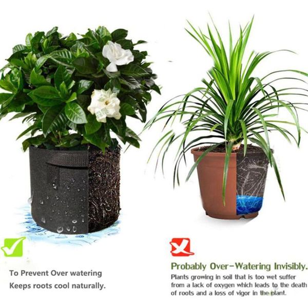 planters & pots 15/50/100 gallon plants growing bag raised plant bed garden flower potato strawberry fabric planter elevated vegetable box
planters & pots 15/50/100 gallon plants growing bag raised plant bed garden flower potato strawberry fabric planter elevated vegetable box