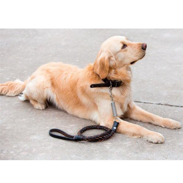 pet supplies outdoor haulage cable large dogs cattlehide necklace working collar german shepherd dog traction belt opp c217 collars & leashe
pet supplies outdoor haulage cable large dogs cattlehide necklace working collar german shepherd dog traction belt opp c217 collars & leashe