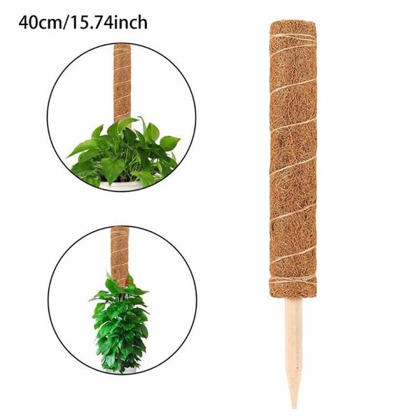 other garden supplies 1 pcs coir moss totem pole 30/40cm climbing plant for any house
other garden supplies 1 pcs coir moss totem pole 30/40cm climbing plant for any house