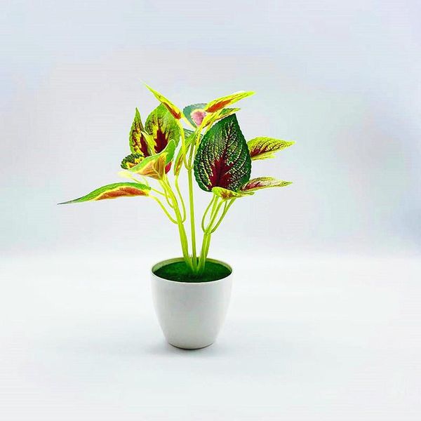 decorative flowers & wreaths 22cm artificial green plants, dill, perilla leaf deskplants mini potted small bonsai for home decoration
decorative flowers & wreaths 22cm artificial green plants, dill, perilla leaf deskplants mini potted small bonsai for home decoration