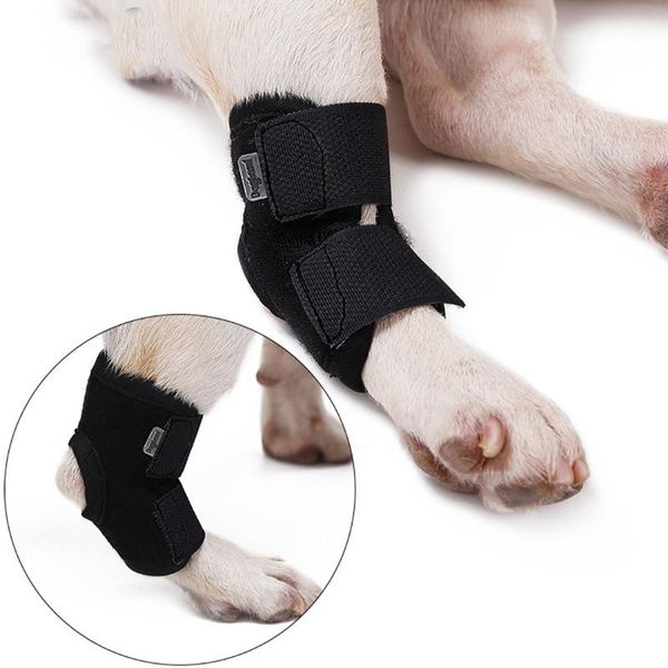 dog apparel leg cover elastic bracket sheath wrapped auxiliary strap injury protection tool
dog apparel leg cover elastic bracket sheath wrapped auxiliary strap injury protection tool
