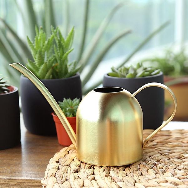 watering equipments 500ml large-capacity retro golden stainless steel long-mouth can for indoor and outdoor potted plants dc120
watering equipments 500ml large-capacity retro golden stainless steel long-mouth can for indoor and outdoor potted plants dc120