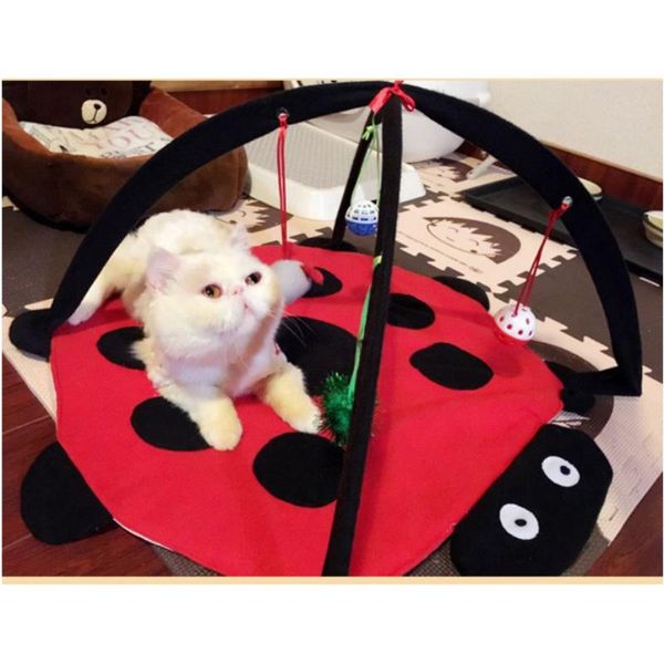 pet toy play tent bed cat hammock with toys activity funny kitten puppy exercise pad cushion
pet toy play tent bed cat hammock with toys activity funny kitten puppy exercise pad cushion
