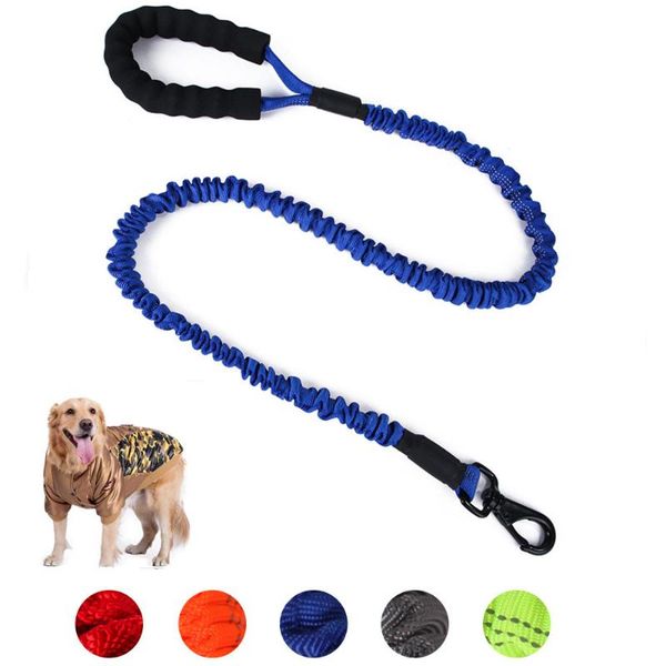dog collars & leashes high elastic srong nylon line soft pp handle for large walking training reflective collar leads pets supplier
dog collars & leashes high elastic srong nylon line soft pp handle for large walking training reflective collar leads pets supplier
