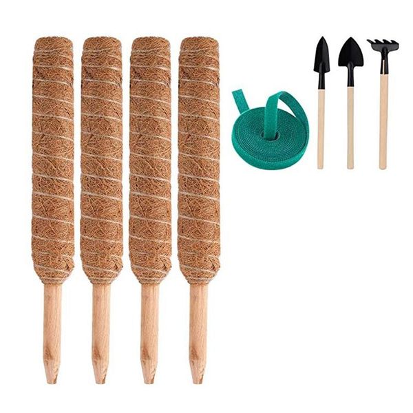 other garden supplies moss pole for climbing plants plant support coir stick extension
other garden supplies moss pole for climbing plants plant support coir stick extension