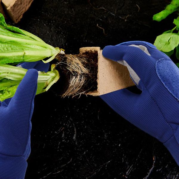 long gardening gloves rose pruning thorn proof garden with forearm protection gauntlets pldi889 disposable
long gardening gloves rose pruning thorn proof garden with forearm protection gauntlets pldi889 disposable