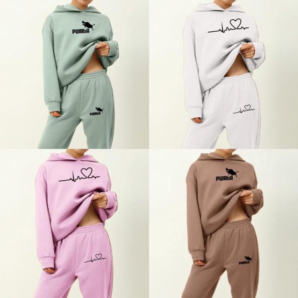 women's two piece pants sweatshirts and long pant fashion 2 pieces sets sweatshirt tracksuit women elegant solid suits warm hoodie over, White
women's two piece pants sweatshirts and long pant fashion 2 pieces sets sweatshirt tracksuit women elegant solid suits warm hoodie over, White