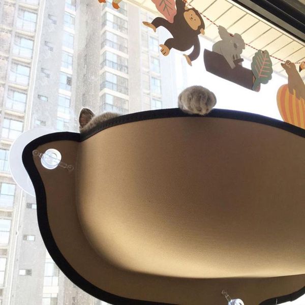 cat bed window mounted hammock super suction cups warm for small big pet rest house sun wall beds & furniture
cat bed window mounted hammock super suction cups warm for small big pet rest house sun wall beds & furniture