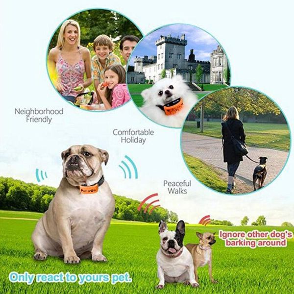 pet dog anti barking stool small and medium intensity adjustment indoor outdoor sound control puppy bark training apparel
pet dog anti barking stool small and medium intensity adjustment indoor outdoor sound control puppy bark training apparel
