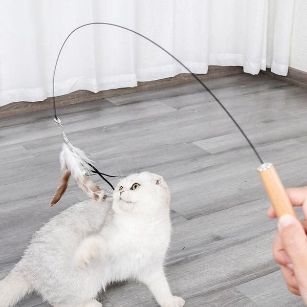 cat toys feather with small bell fun stick rod replacement head set kitten feathers tease interactive pet supplies
cat toys feather with small bell fun stick rod replacement head set kitten feathers tease interactive pet supplies