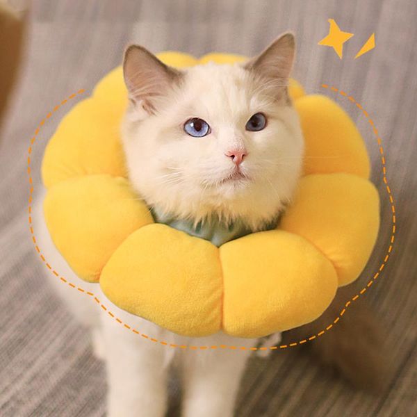 cat collars & leads flower collar anti-bite lick wound healing dogs health circle pet protective neck cone recovery
cat collars & leads flower collar anti-bite lick wound healing dogs health circle pet protective neck cone recovery
