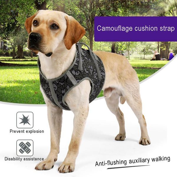 dog collars & leashes pet vest type chest strap leash handheld explosion-proof flush durable comfortable accessories
dog collars & leashes pet vest type chest strap leash handheld explosion-proof flush durable comfortable accessories