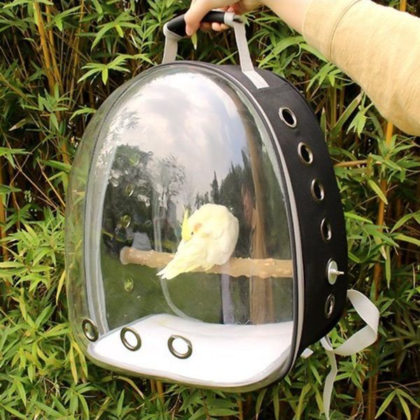parrot backpack pet carrying cage outdoor travel comfortable breathable transparent carrier backbag space with bracket bird cages
parrot backpack pet carrying cage outdoor travel comfortable breathable transparent carrier backbag space with bracket bird cages