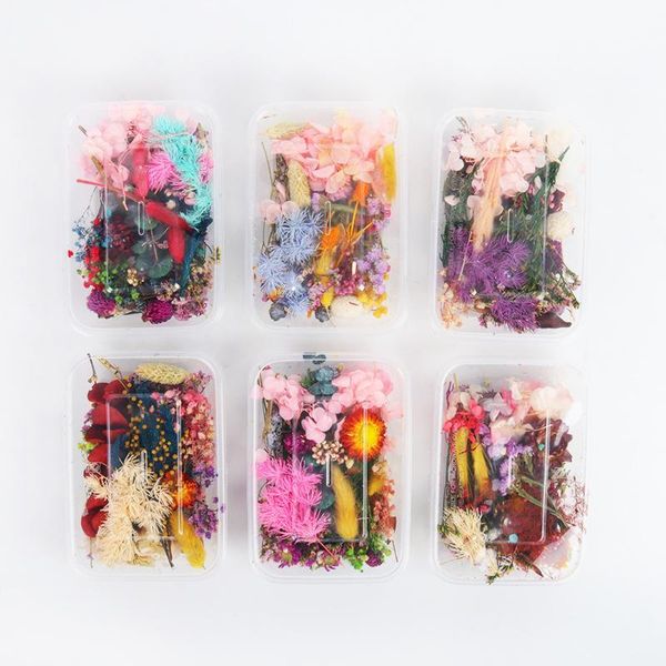 decorative flowers & wreaths 1box artificial plant diy props natural dry flower home decoration accessories wreath fake christmas supplies
decorative flowers & wreaths 1box artificial plant diy props natural dry flower home decoration accessories wreath fake christmas supplies