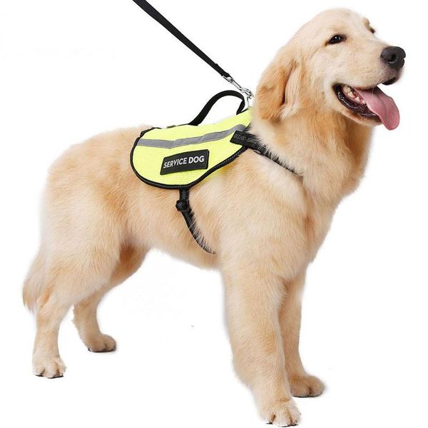 dog apparel reflective service vest harness with handle and 2 removable patches pet breathable mesh coat
dog apparel reflective service vest harness with handle and 2 removable patches pet breathable mesh coat