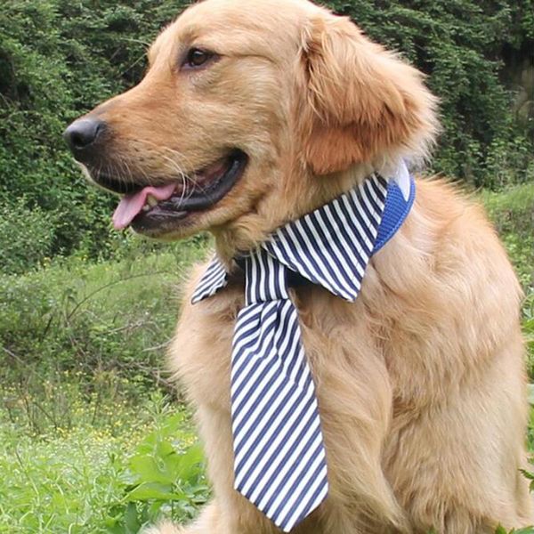 adjustable stripes dog tie for medium big large neckties fashion accessories puppy grooming bow ties apparel
adjustable stripes dog tie for medium big large neckties fashion accessories puppy grooming bow ties apparel
