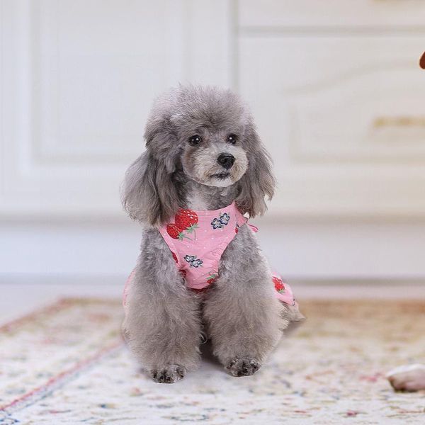dog apparel summer dress for cute pets clothes sleeveless bowknot party puppy clothing fashion dresses pet x-l
dog apparel summer dress for cute pets clothes sleeveless bowknot party puppy clothing fashion dresses pet x-l