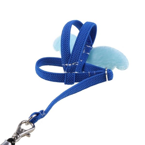 other bird supplies 2m anti bite flying training rope parrot leash ultralight harnesses band
other bird supplies 2m anti bite flying training rope parrot leash ultralight harnesses band