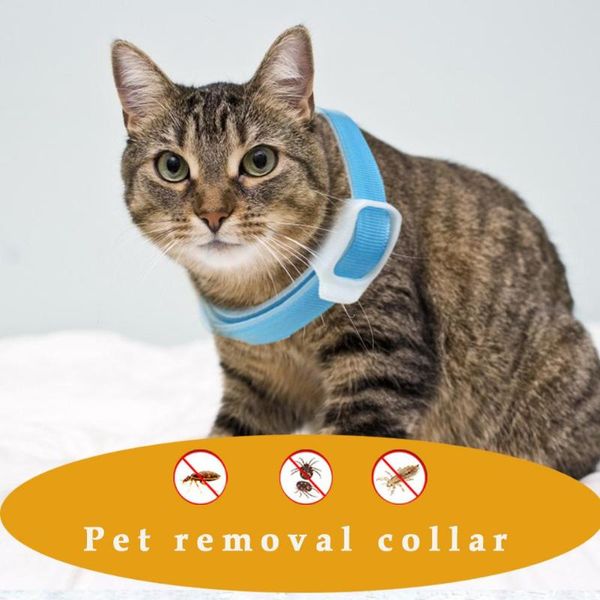 dog collars & leashes silicone neck pet collar adjustable anti flea tick mosquito gifts outdoor durable protective product
dog collars & leashes silicone neck pet collar adjustable anti flea tick mosquito gifts outdoor durable protective product